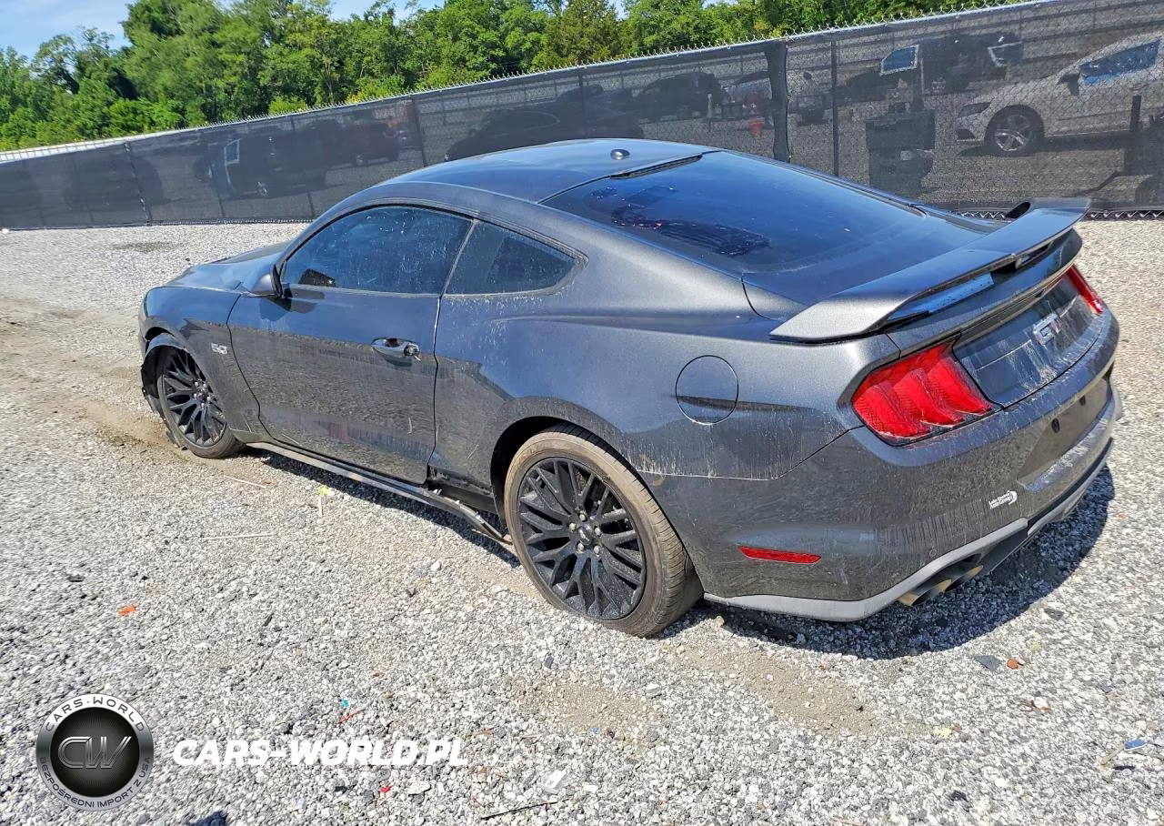 2019 Ford Mustang Gt VIN:1FA6P8CF5K5199191 - 2