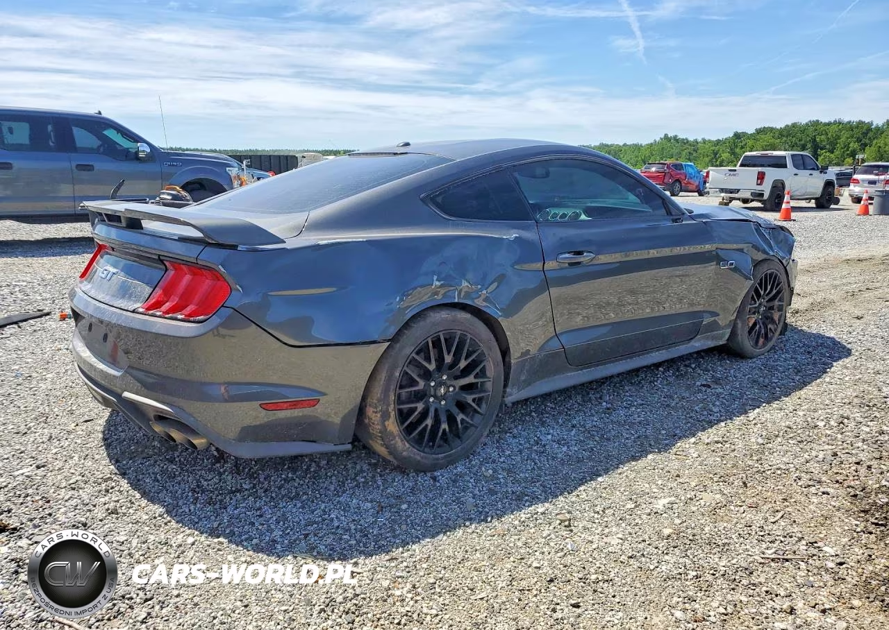 2019 Ford Mustang Gt VIN:1FA6P8CF5K5199191 - 3