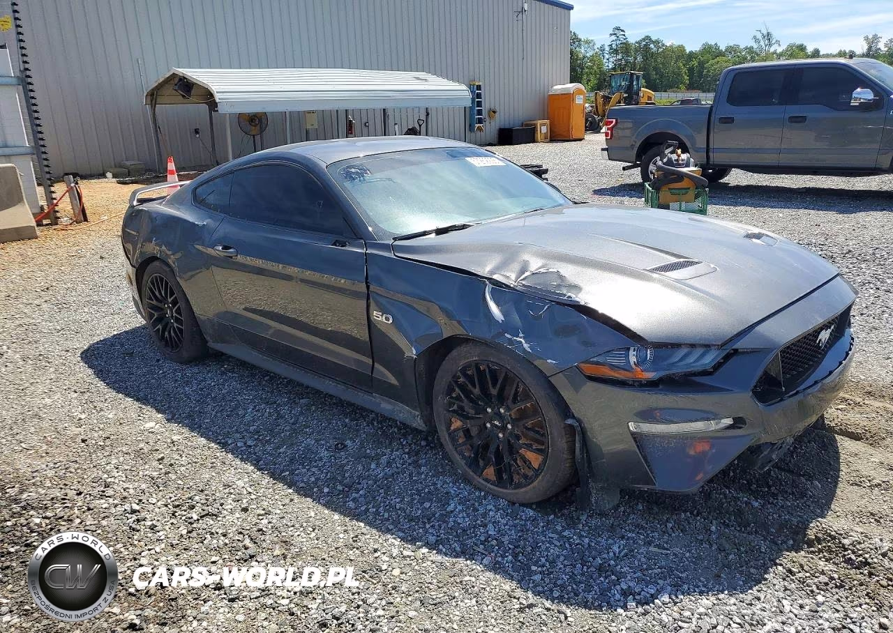 2019 Ford Mustang Gt VIN:1FA6P8CF5K5199191 - 4