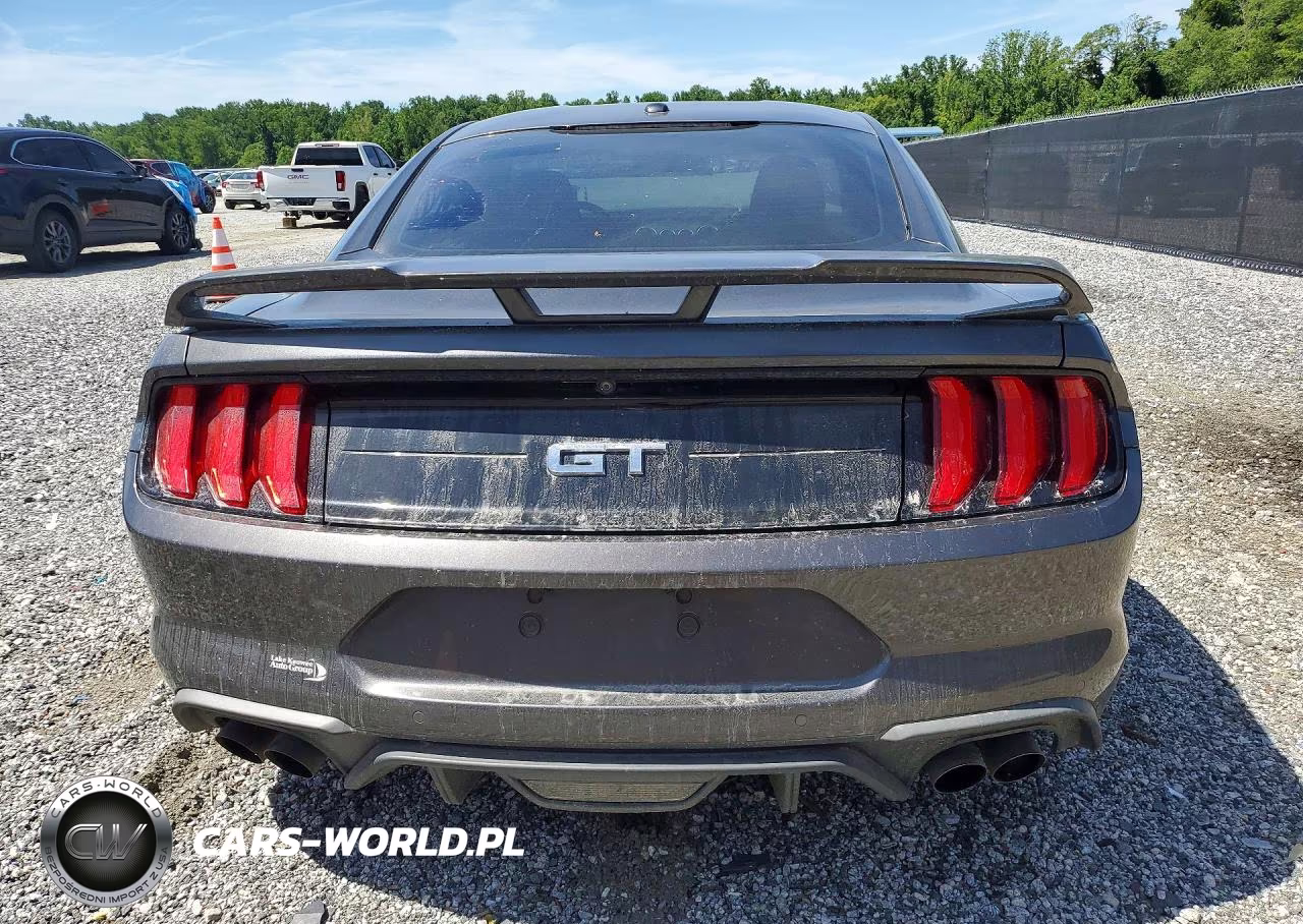 2019 Ford Mustang Gt VIN:1FA6P8CF5K5199191 - 6