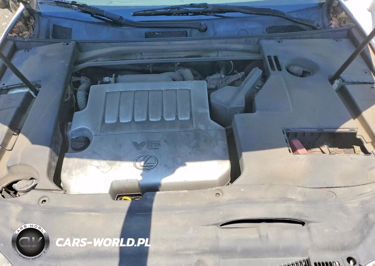 2009 Lexus Es 350 VIN:JTHBJ46G492334310 - 11