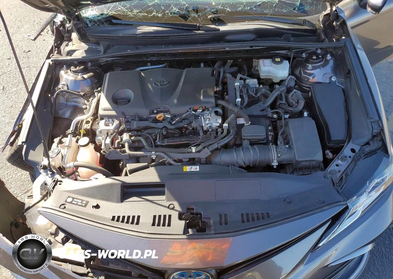 2021 Toyota Camry Le VIN:4T1C31AKXMU023015 - 11
