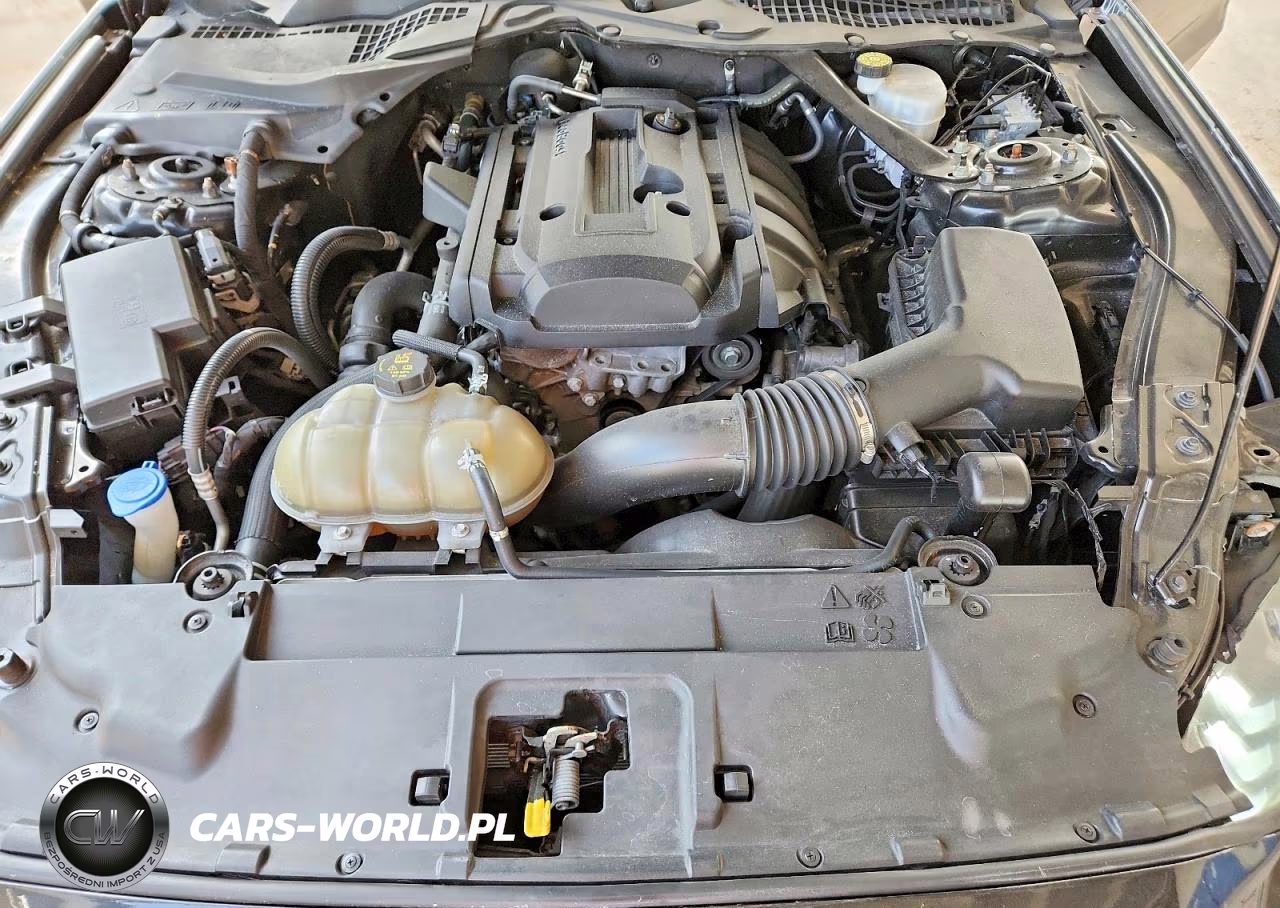 2021 Ford Mustang VIN:1FATP8UH7M5101204 - 11