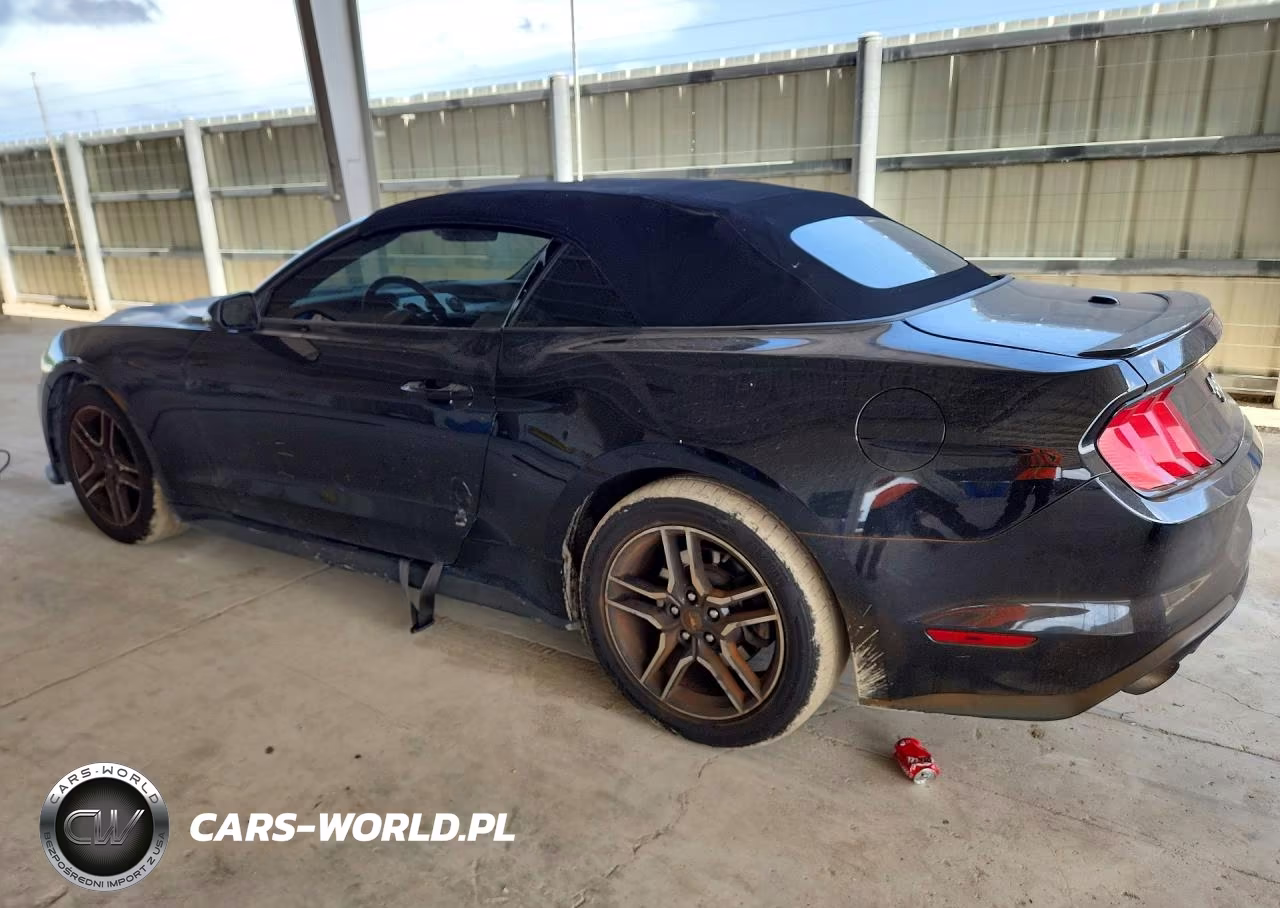 2021 Ford Mustang VIN:1FATP8UH7M5101204 - 2