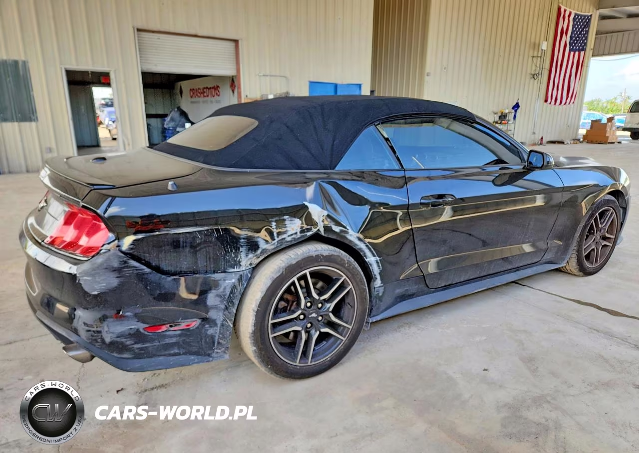 2021 Ford Mustang VIN:1FATP8UH7M5101204 - 3