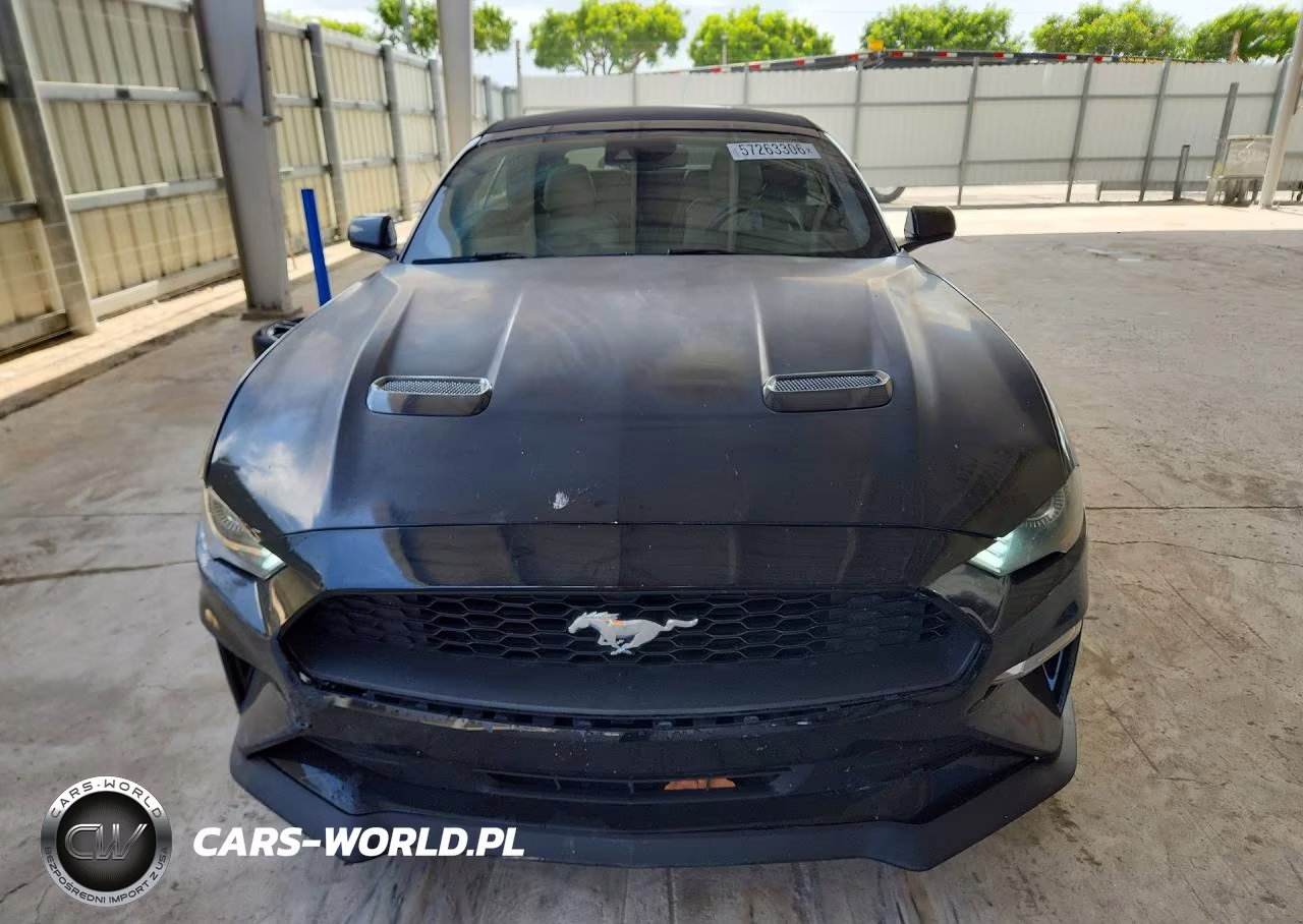2021 Ford Mustang VIN:1FATP8UH7M5101204 - 5