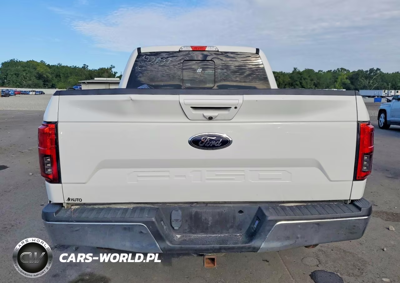2020 Ford F150 Supercrew VIN:1FTEW1C58LFA22637 - 6