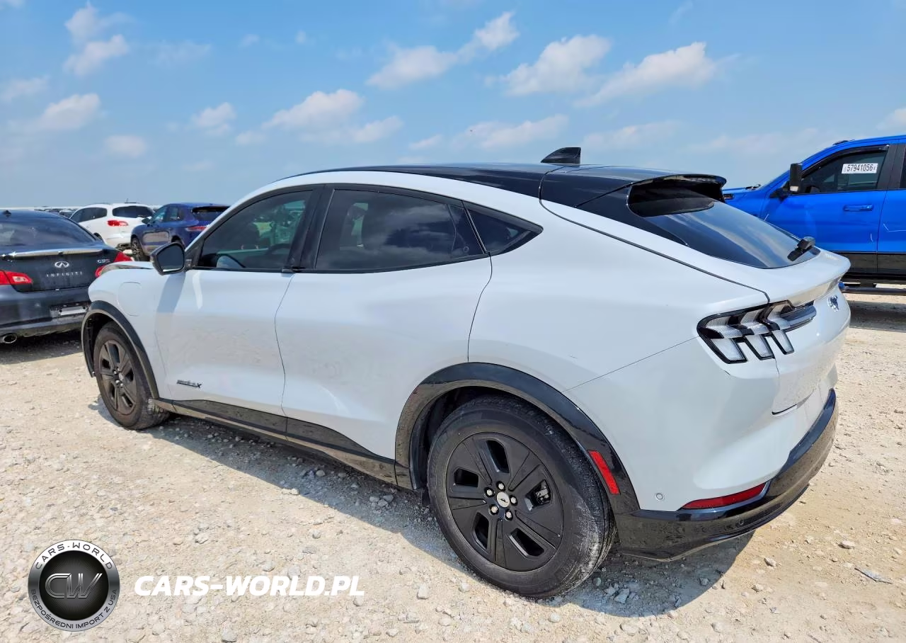 2023 Ford Mustang Mach-E California Route 1 VIN:3FMTK2SUXPMA83295 - 2