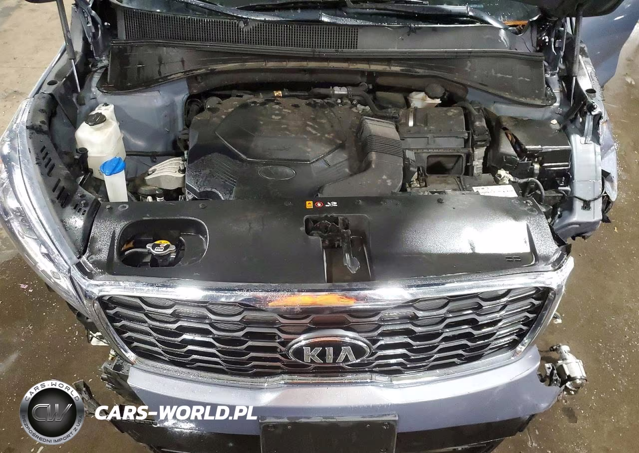 2020 Kia Sorento Ex V6 VIN:5XYPH4A59LG710800 - 12
