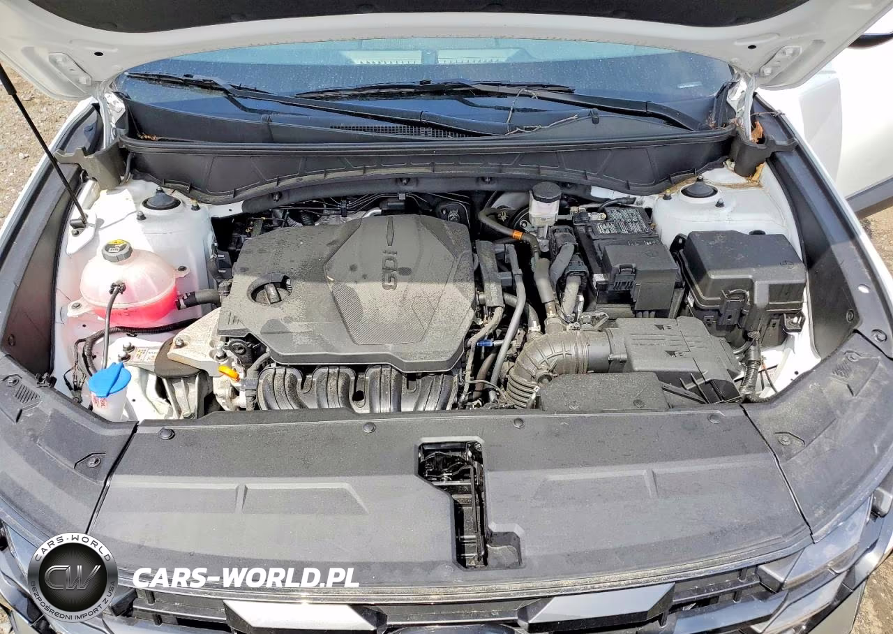 2025 Hyundai Tucson Se VIN:3KMJACDEXSE011216 - 12