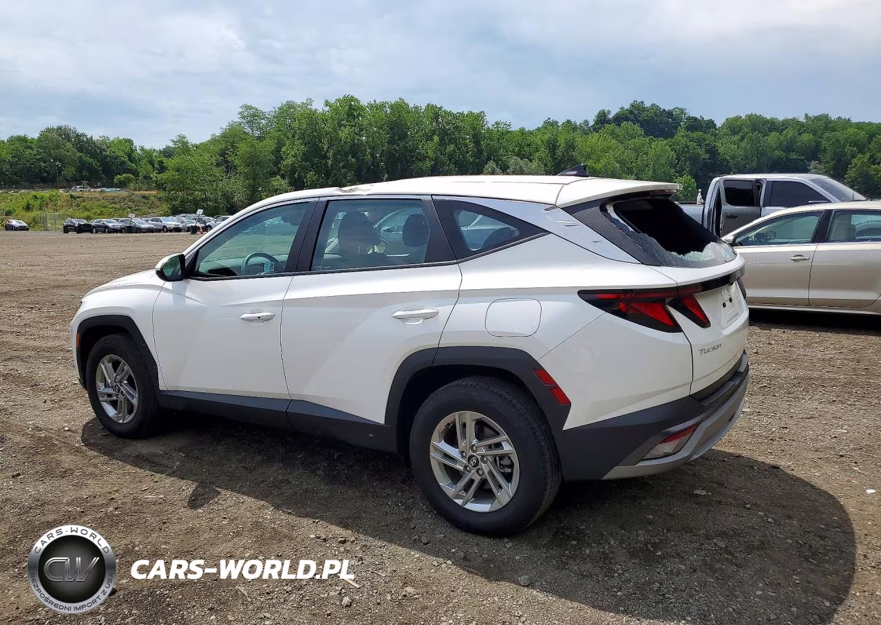 2025 Hyundai Tucson Se VIN:3KMJACDEXSE011216 - 2
