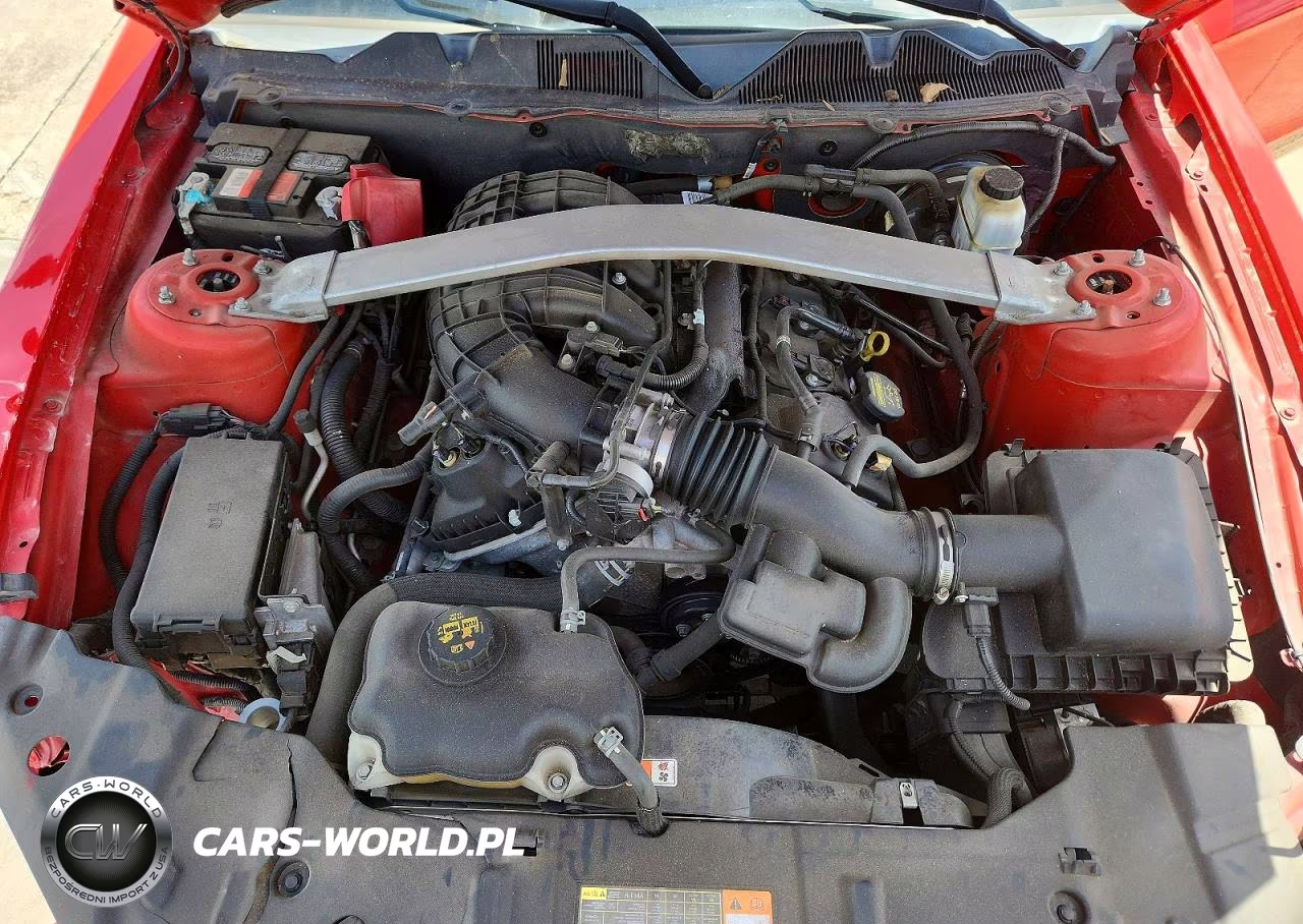 2013 Ford Mustang VIN:1ZVBP8EM3D5202710 - 11