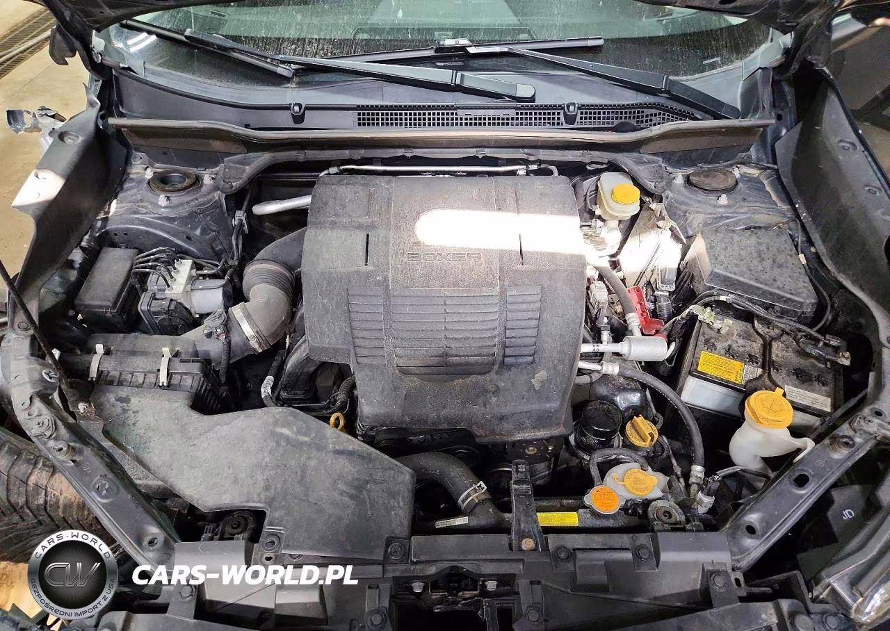 2019 Subaru Forester Sport VIN:JF2SKAKC6KH400568 - 12