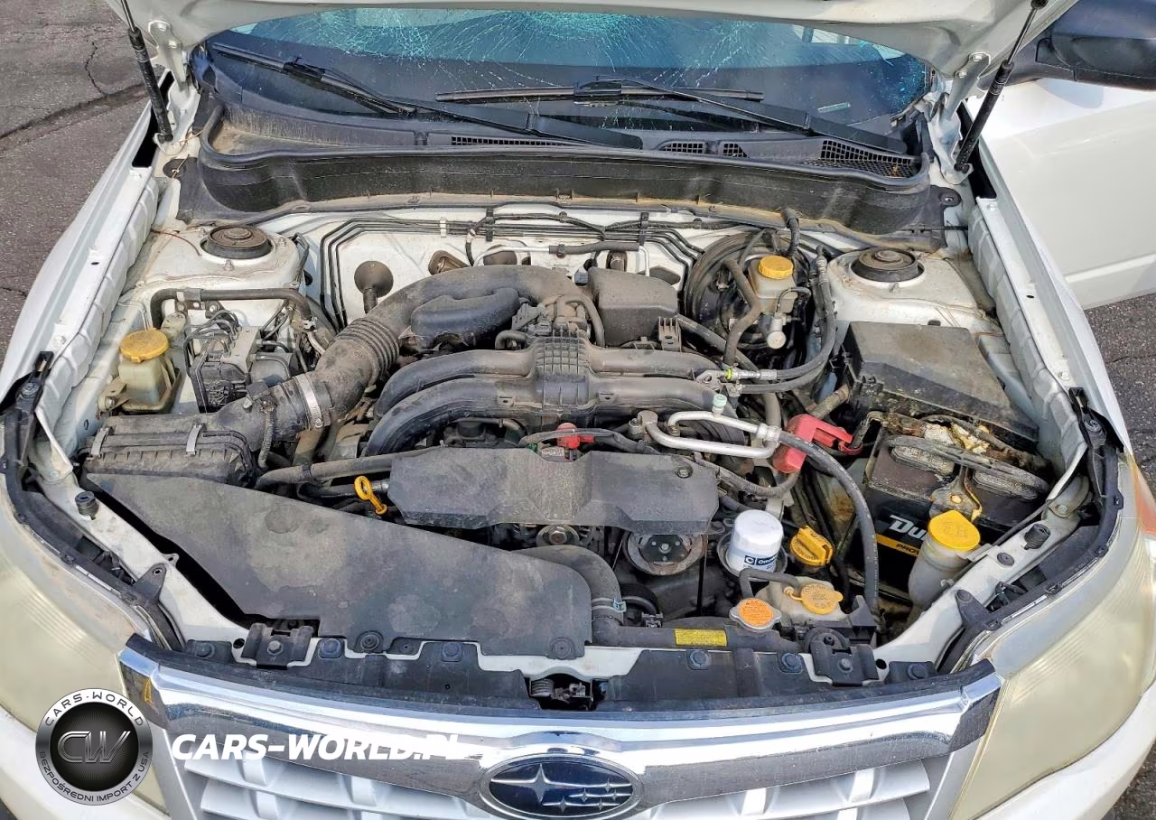 2013 Subaru Forester 2.5X VIN:JF2SHABC5DH428542 - 11