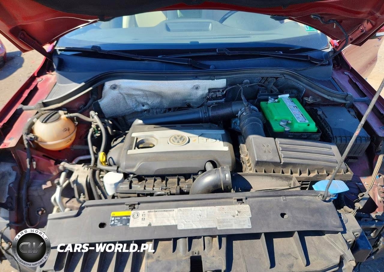 2014 Volkswagen Tiguan S VIN:WVGBV3AX3EW059809 - 11