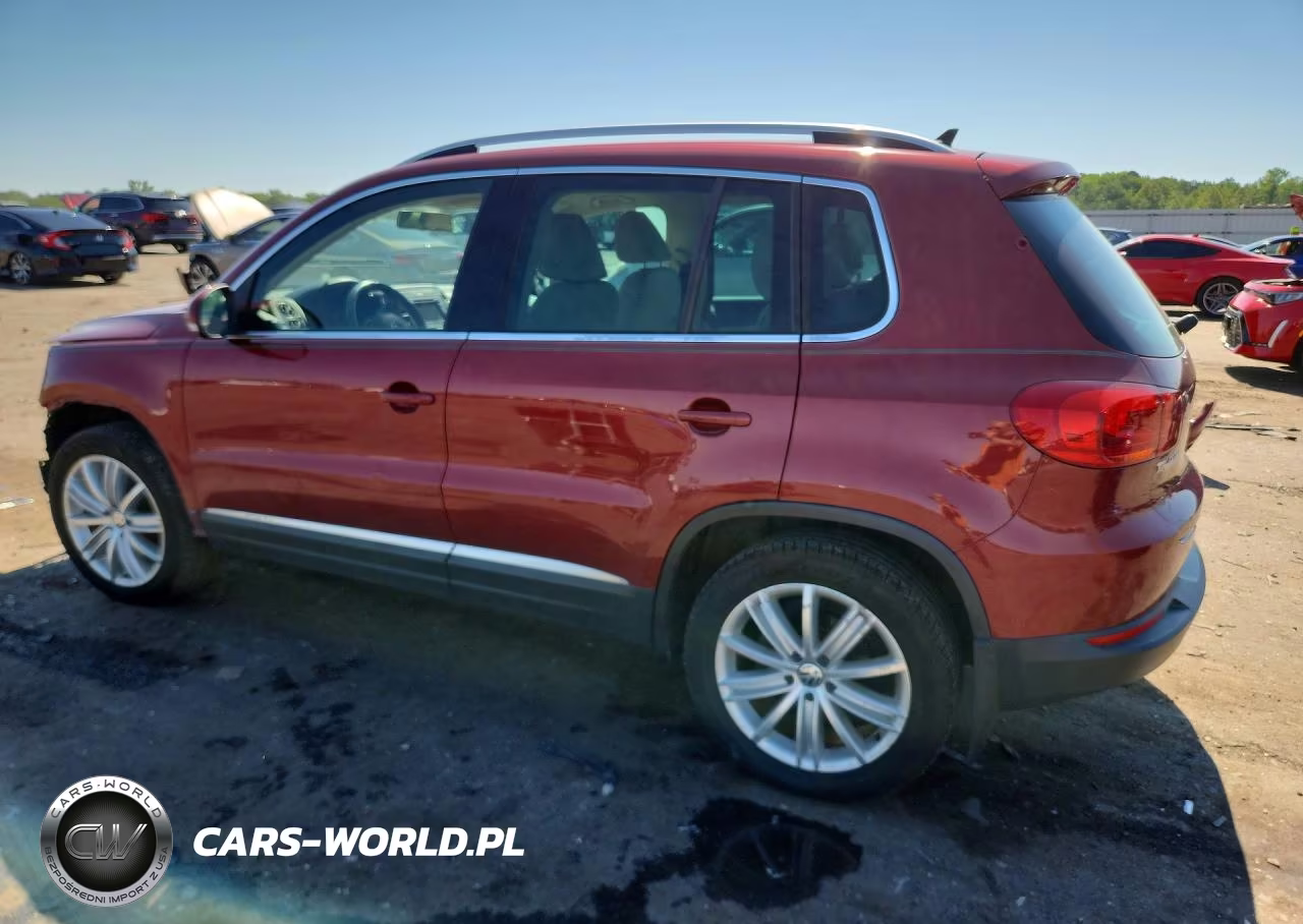 2014 Volkswagen Tiguan S VIN:WVGBV3AX3EW059809 - 2