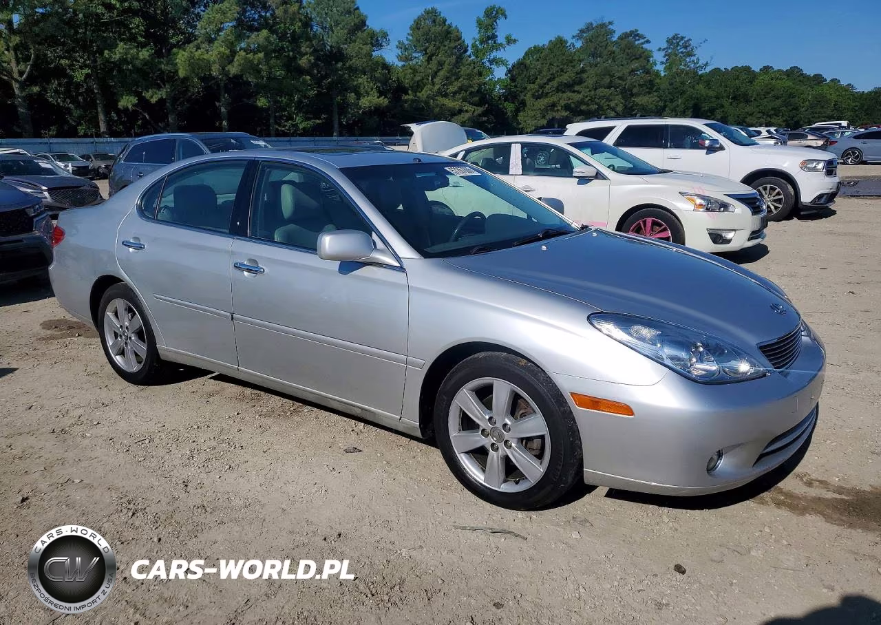 2005 Lexus Es 330 VIN:JTHBA30G655101170 - 4