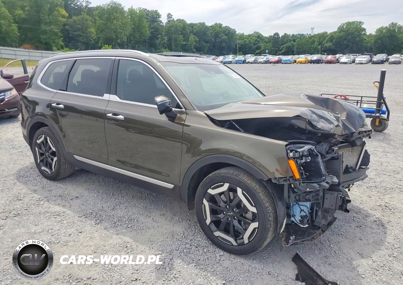 2025 Kia Telluride S VIN:5XYP64GCXSG613373 - 4