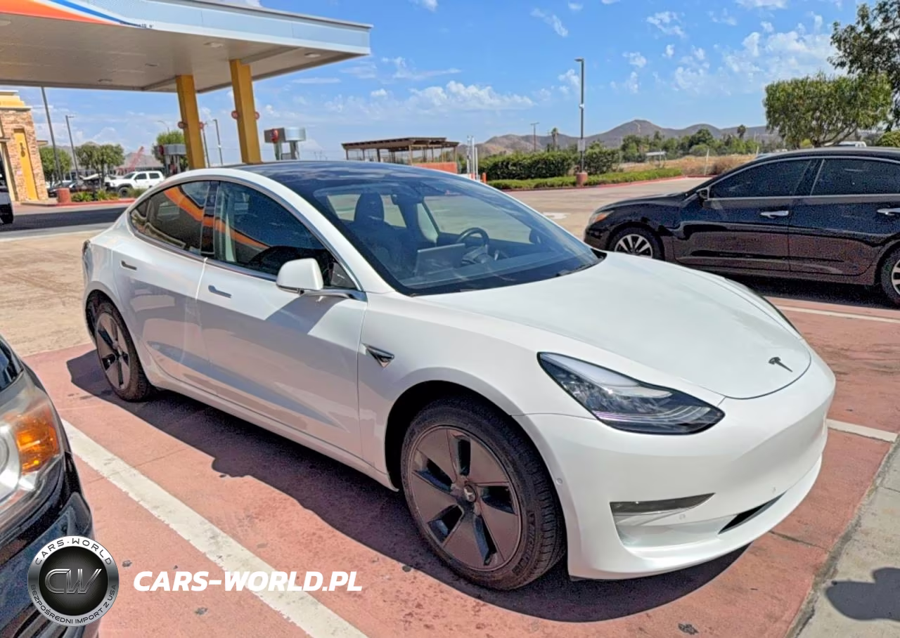 2019 Tesla Model 3