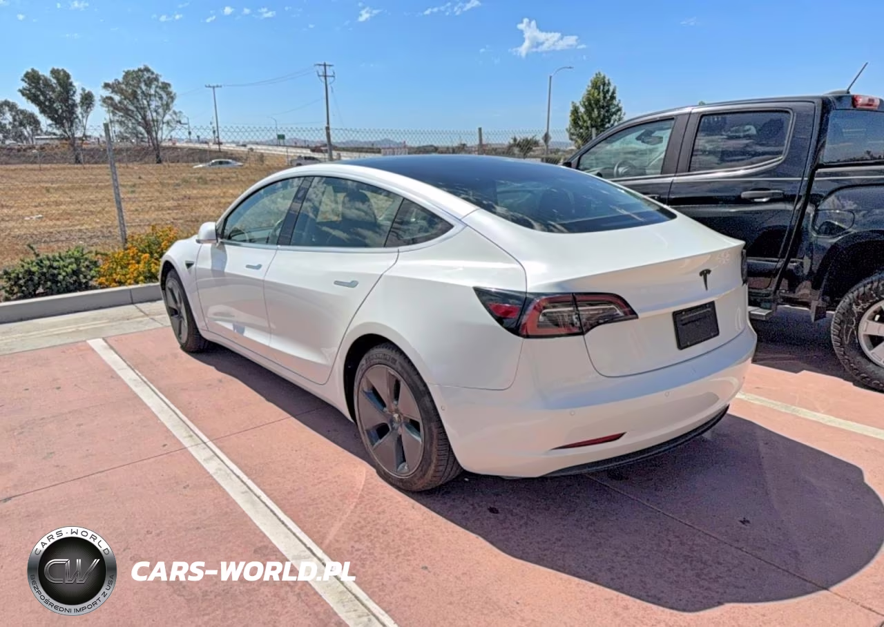 2019 Tesla Model 3 VIN:5YJ3E1EA0KF431223 - 3