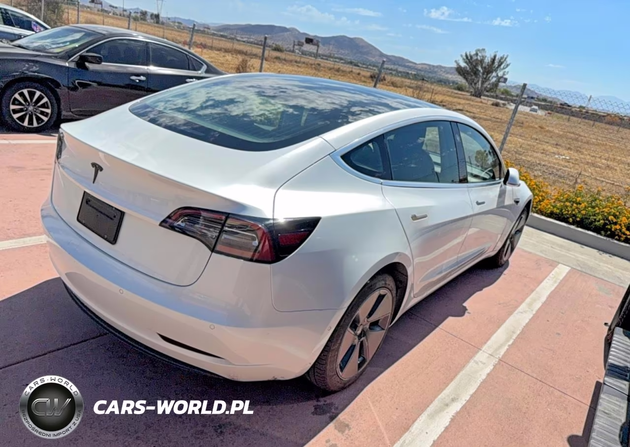 2019 Tesla Model 3 VIN:5YJ3E1EA0KF431223 - 4