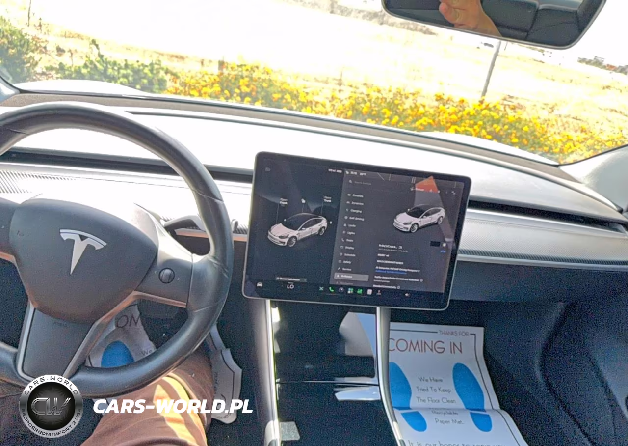 2019 Tesla Model 3 VIN:5YJ3E1EA0KF431223 - 9