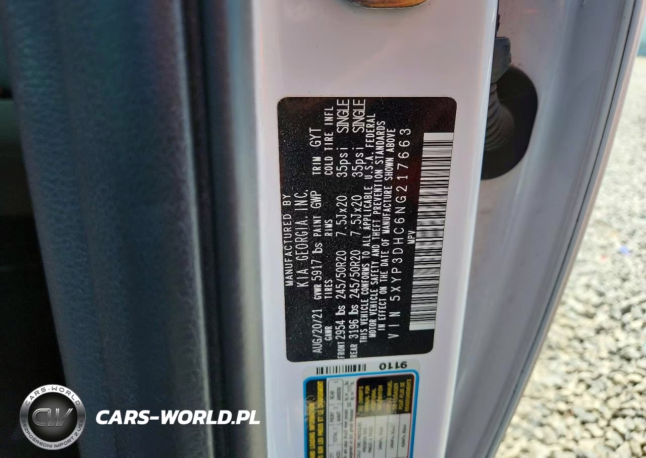 2022 Kia Telluride Ex VIN:5XYP3DHC6NG217663 - 13