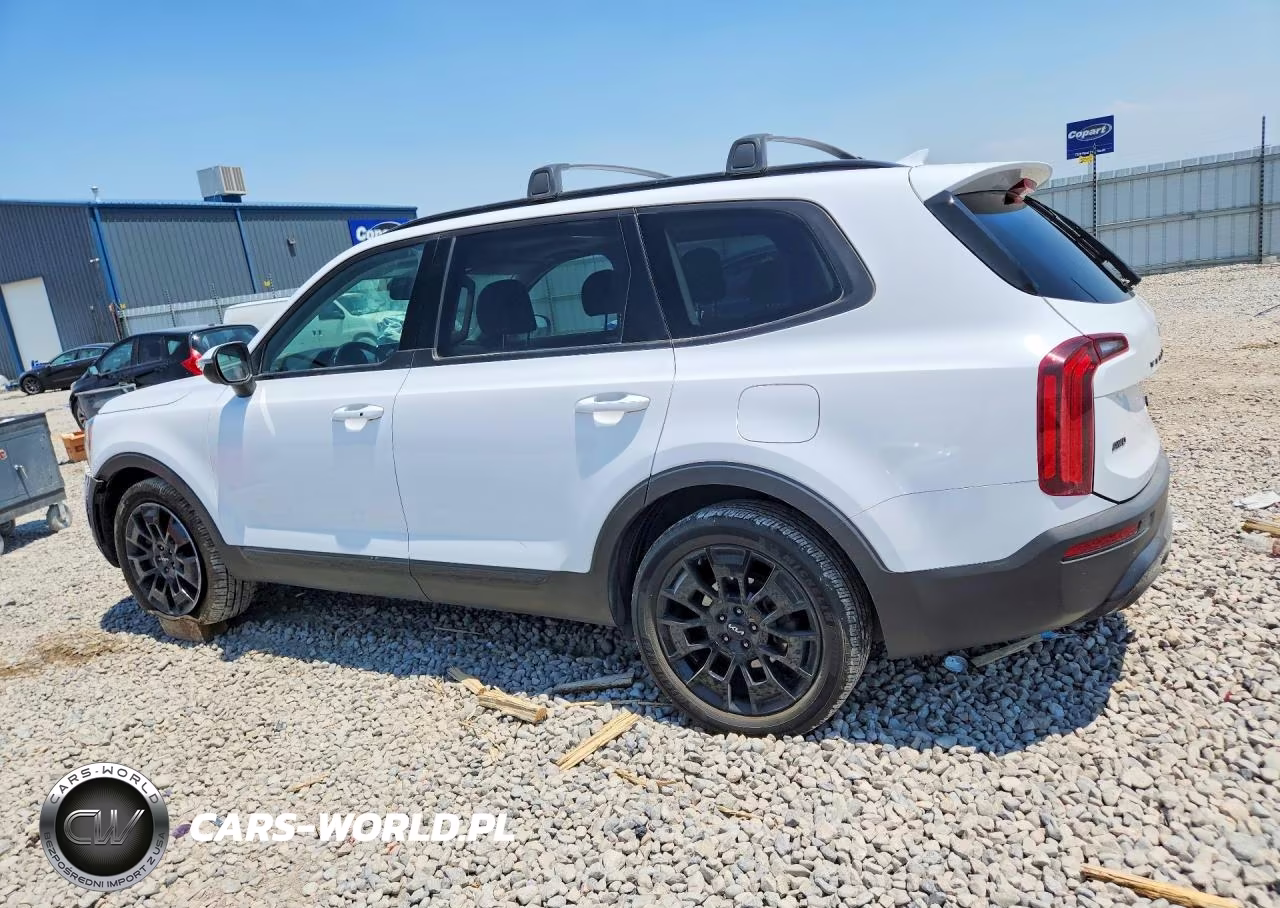 2022 Kia Telluride Ex VIN:5XYP3DHC6NG217663 - 2