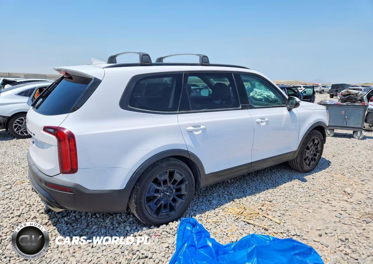 2022 Kia Telluride Ex VIN:5XYP3DHC6NG217663 - 3