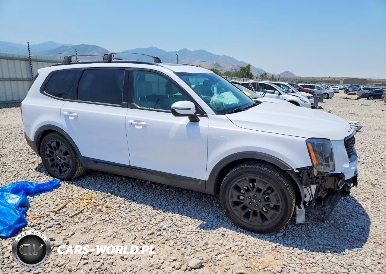2022 Kia Telluride Ex VIN:5XYP3DHC6NG217663 - 4