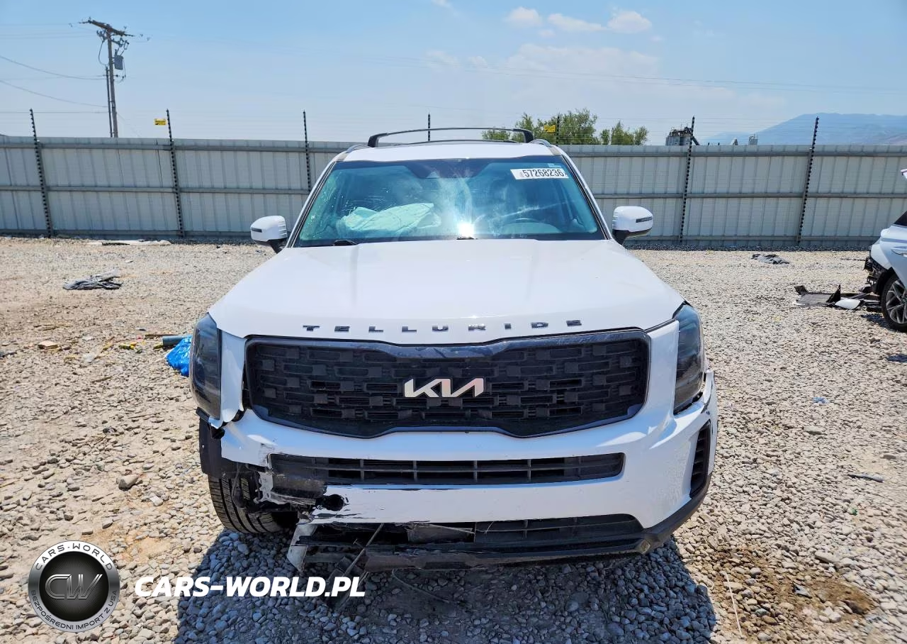 2022 Kia Telluride Ex VIN:5XYP3DHC6NG217663 - 5