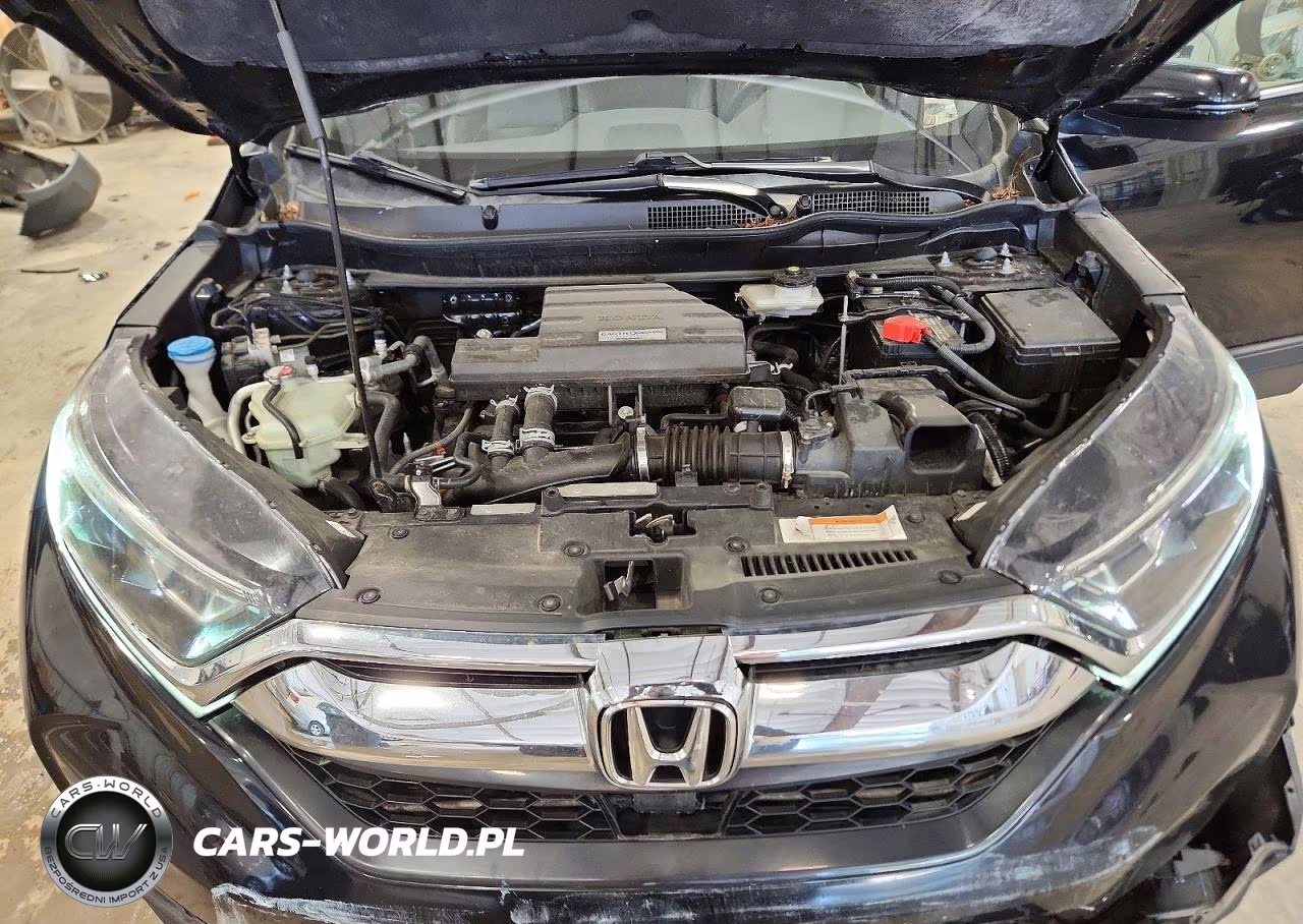 2019 Honda Cr-V Exl VIN:7FARW2H81KE009679 - 12