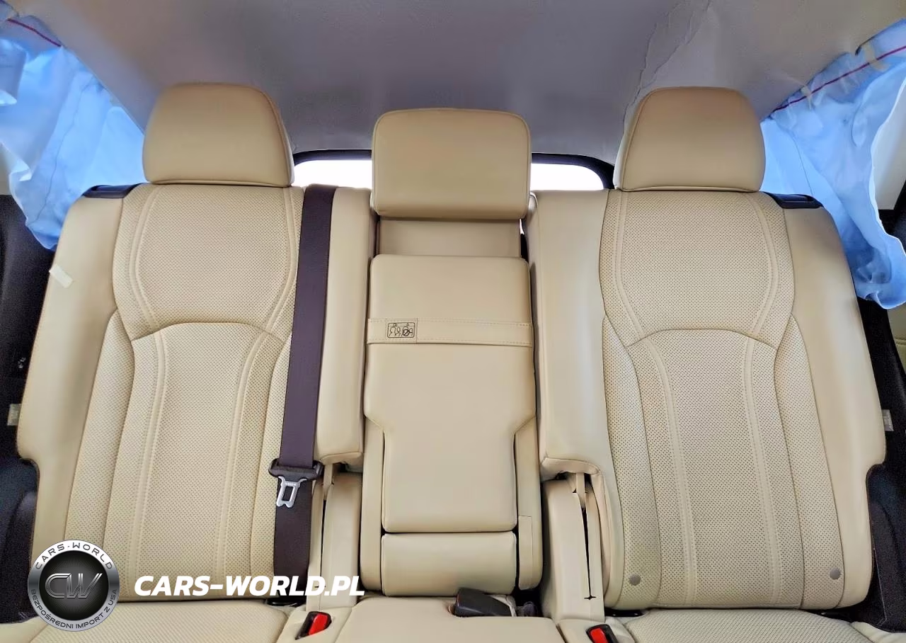2018 Lexus Rx 350 L VIN:JTJDZKCA4J2010900 - 10
