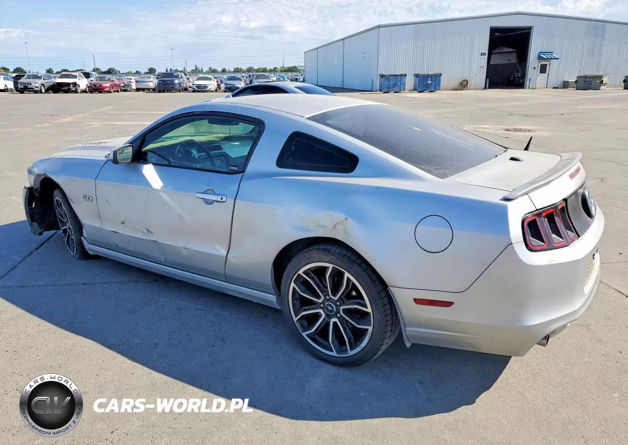 2013 Ford Mustang VIN:1ZVBP8CF0D5267700 - 2