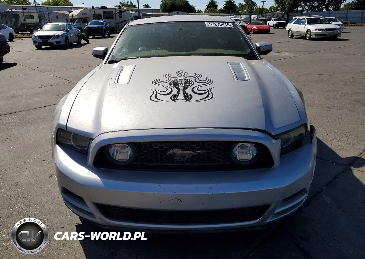 2013 Ford Mustang VIN:1ZVBP8CF0D5267700 - 5