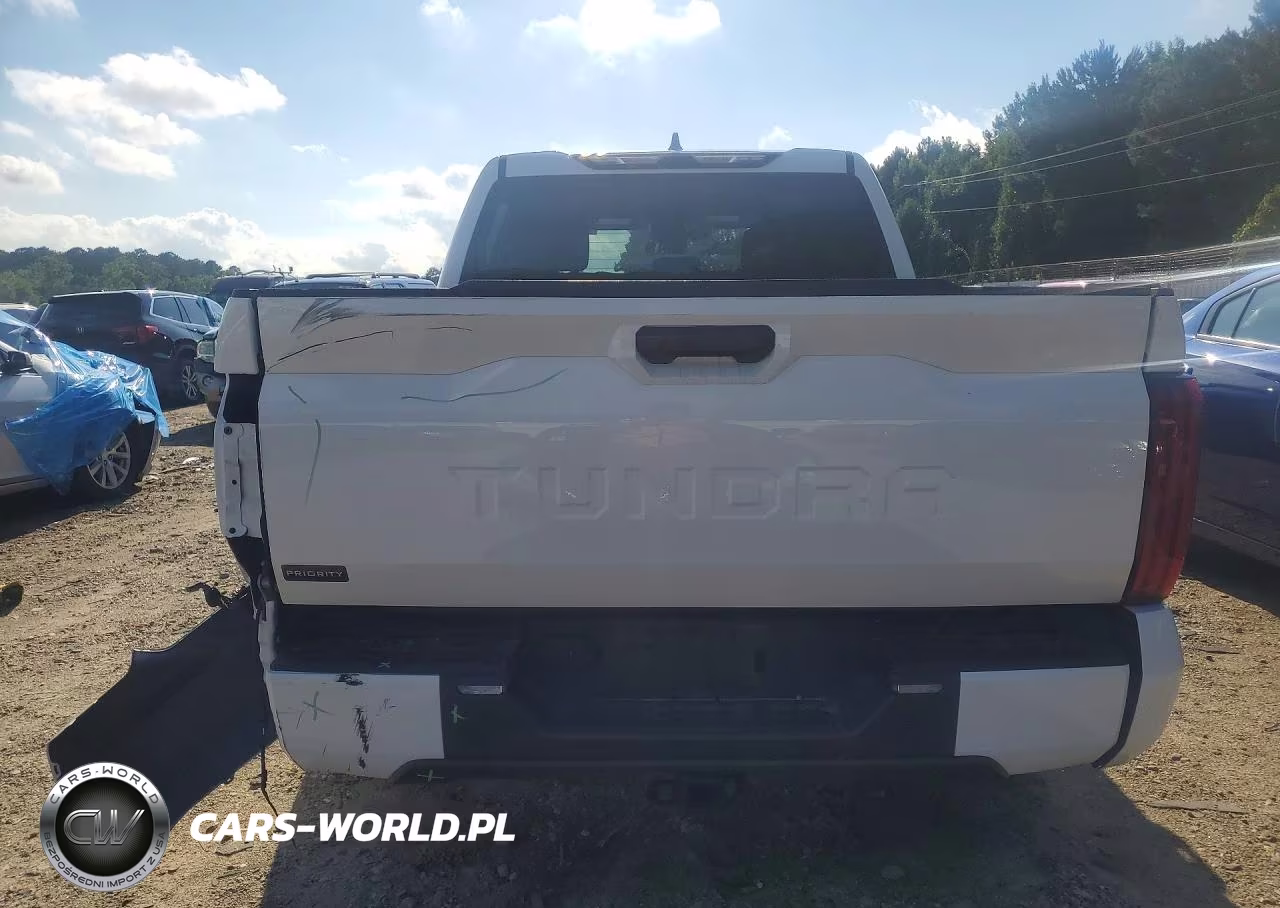 2023 Toyota Tundra Sr5 VIN:5TFLA5AB5PX020303 - 6