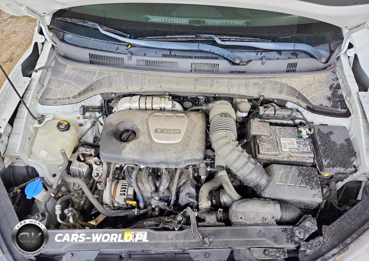 2019 Hyundai Kona Ultimate VIN:KM8K53A51KU271873 - 12