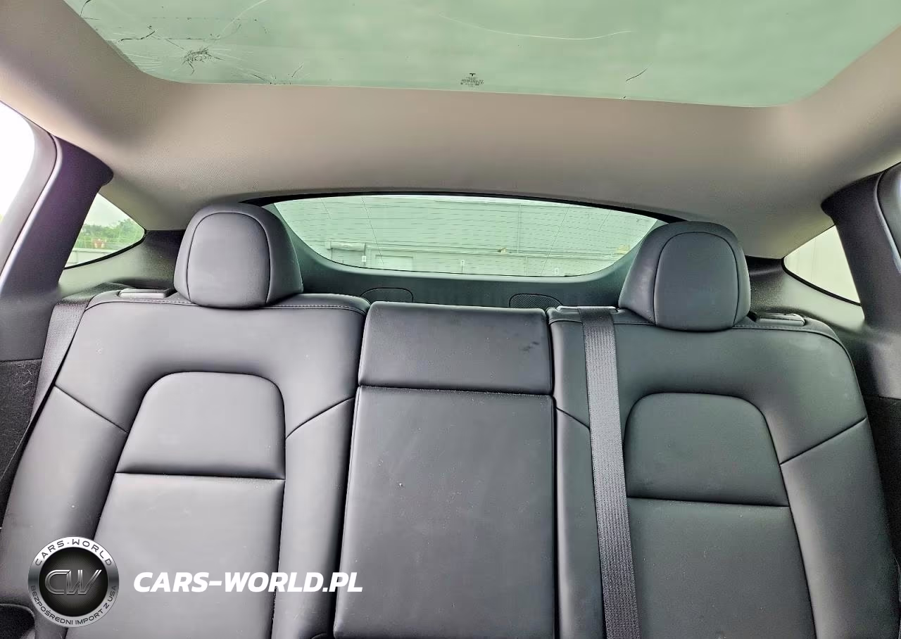 2023 Tesla Model Y VIN:7SAYGDEE0PA022991 - 10