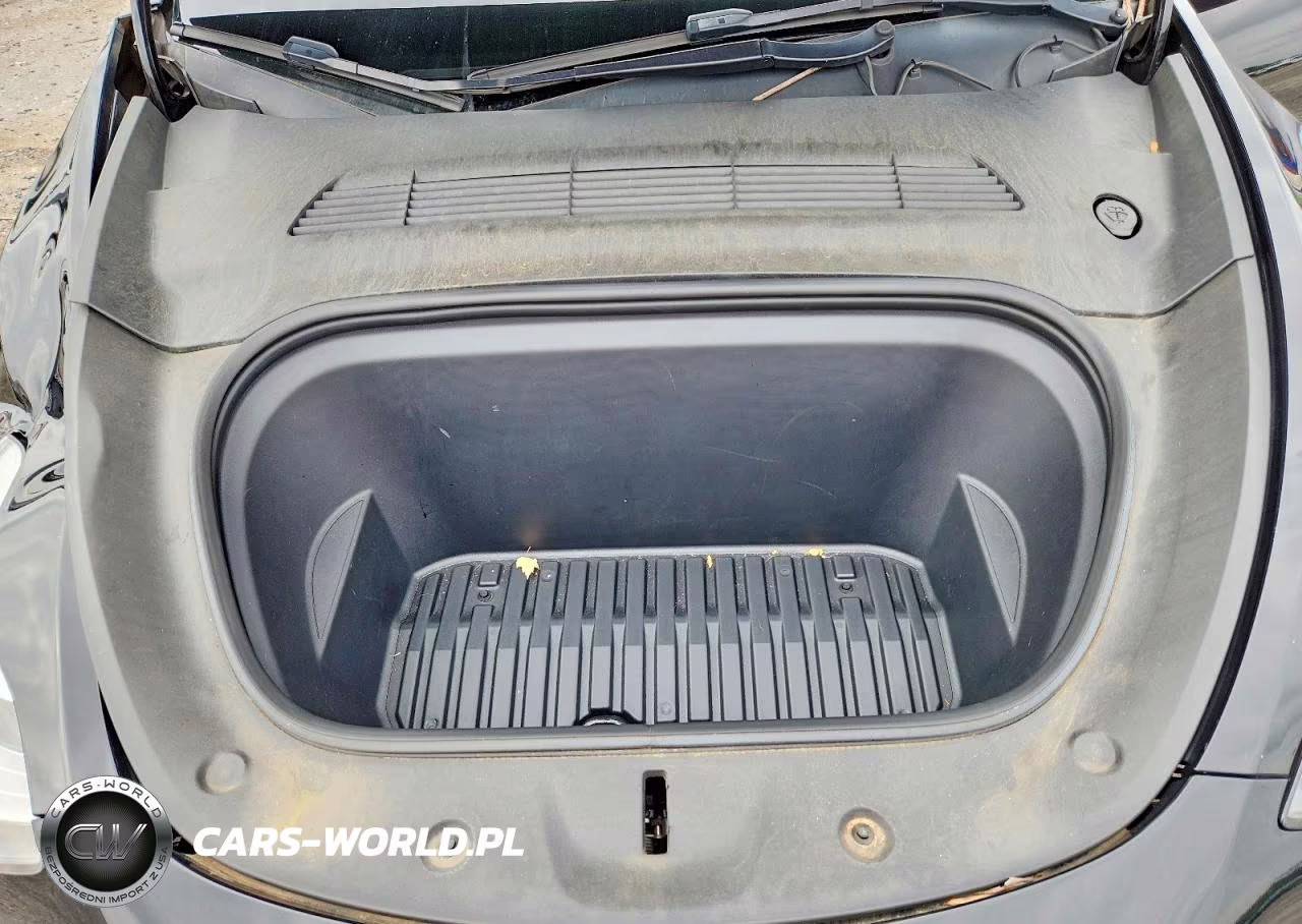 2023 Tesla Model Y VIN:7SAYGDEE0PA022991 - 12