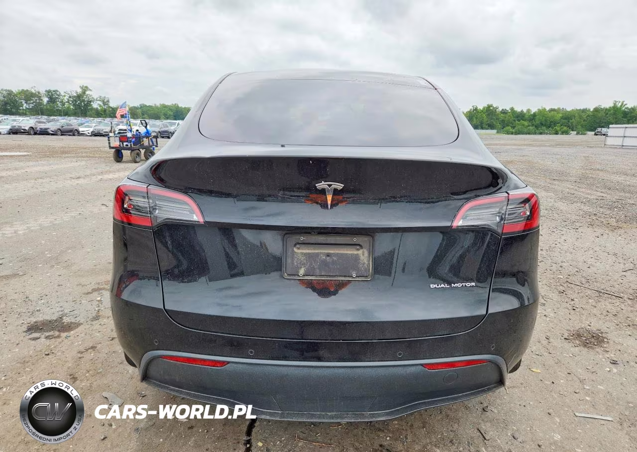 2023 Tesla Model Y VIN:7SAYGDEE0PA022991 - 6