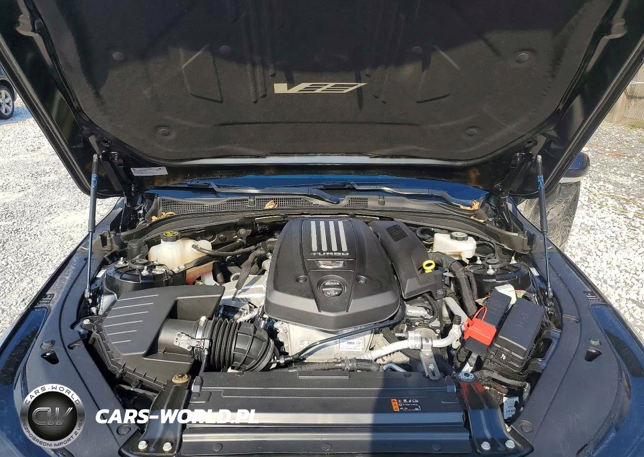 2023 Cadillac Ct4-V VIN:1G6DD5RL2P0137504 - 11