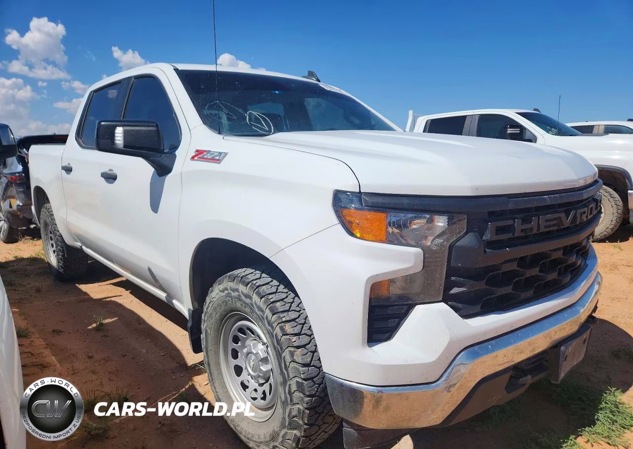 2023 Chevrolet Silverado K1500 VIN:1GCUDAED0PZ291936 - 4