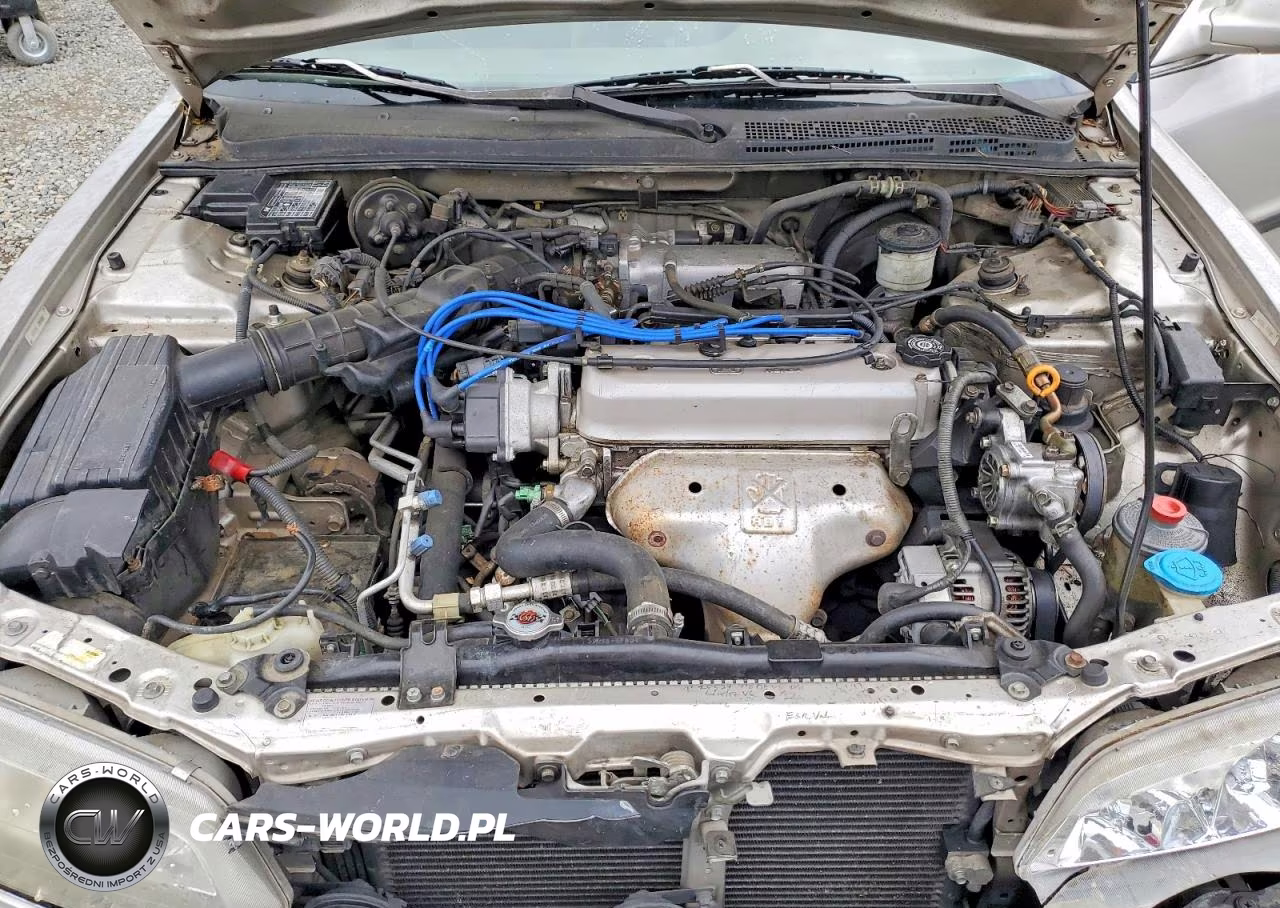 1996 Honda Accord Lx VIN:1HGCD5631TA142034 - 11