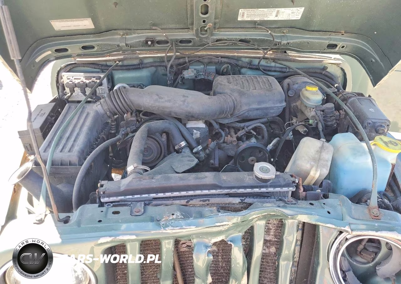 1999 Jeep Wrangler - Tj Se VIN:1J4FY29PXXP436266 - 12