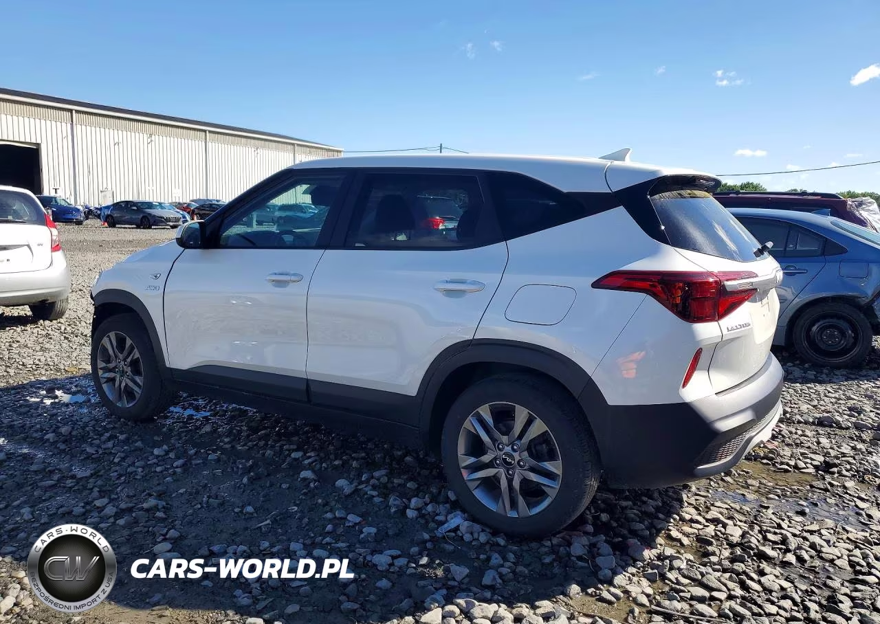 2023 Kia Seltos Lx VIN:KNDEPCAA6P7358957 - 2