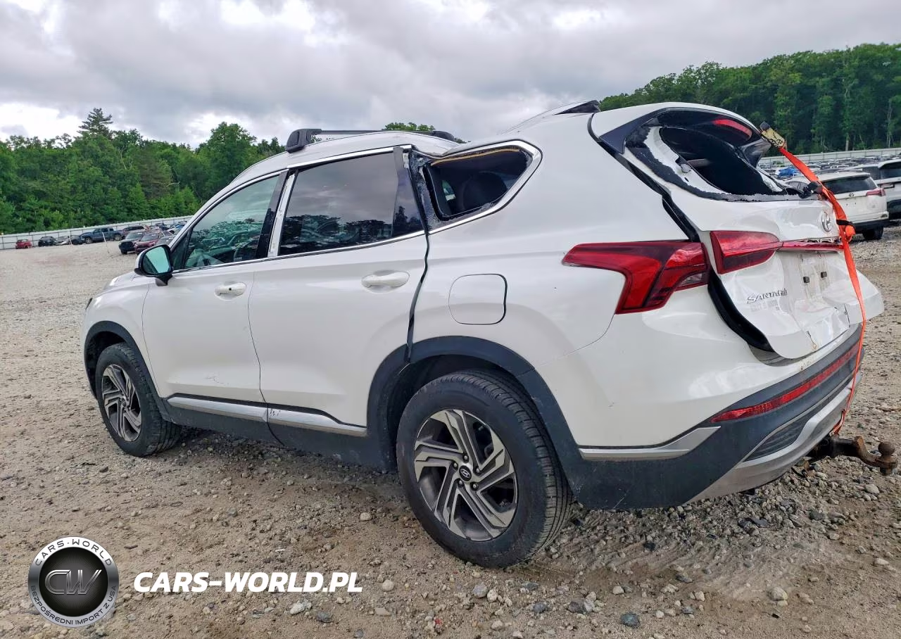 2022 Hyundai Santa Fe Sel VIN:5NMS2DAJ6NH419768 - 2