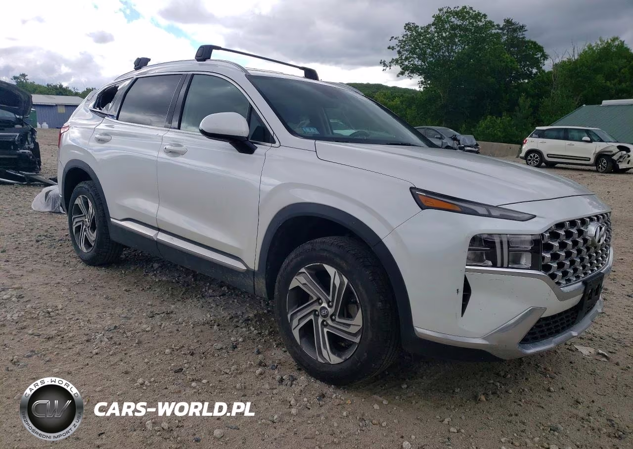 2022 Hyundai Santa Fe Sel VIN:5NMS2DAJ6NH419768 - 4