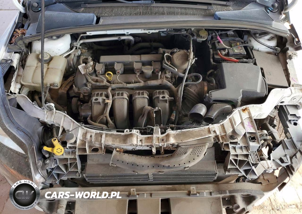 2013 Ford Focus Se VIN:1FADP3K2XDL170812 - 12