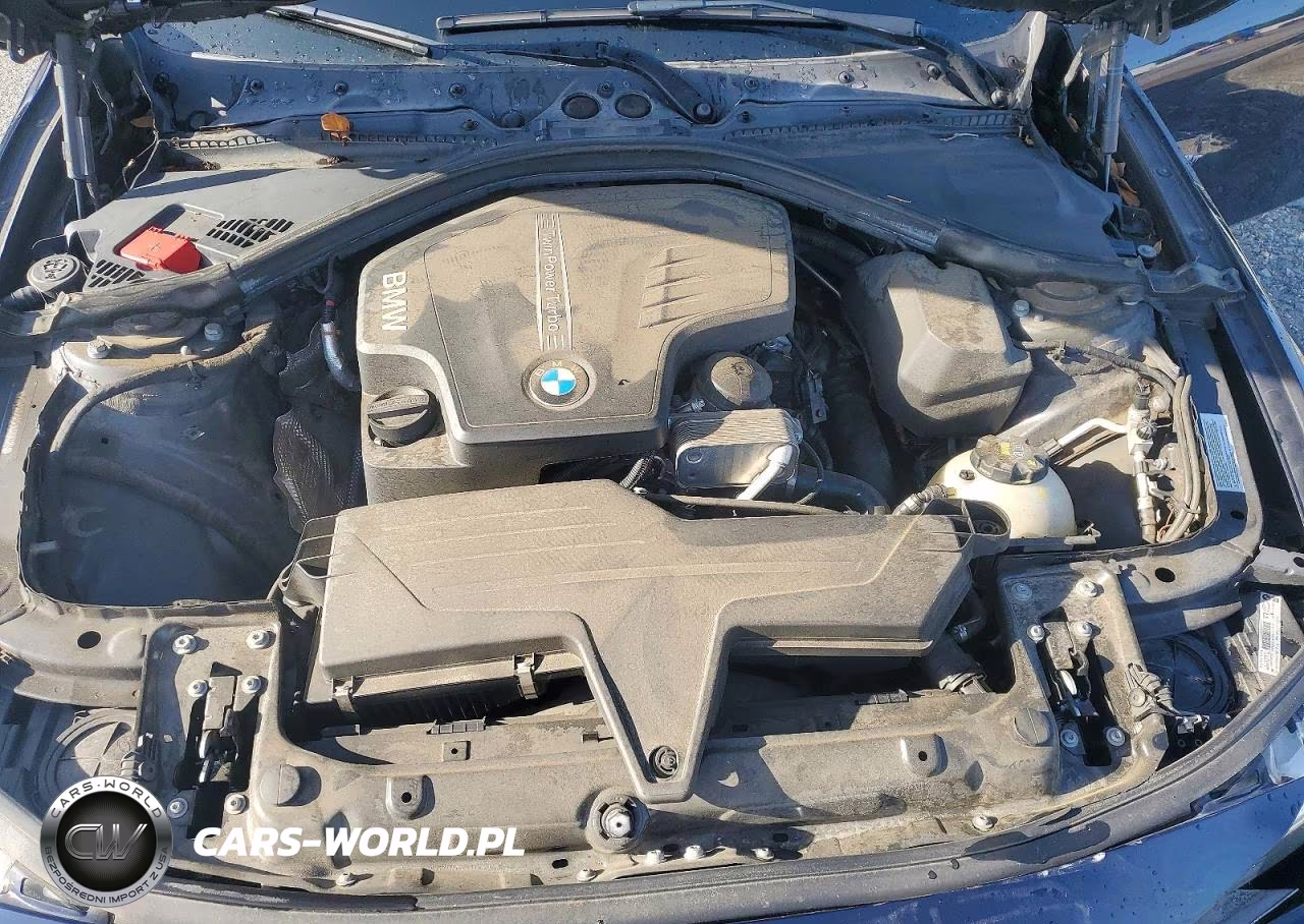 2015 BMW 320 I VIN:WBA3B1G50FNT03285 - 11