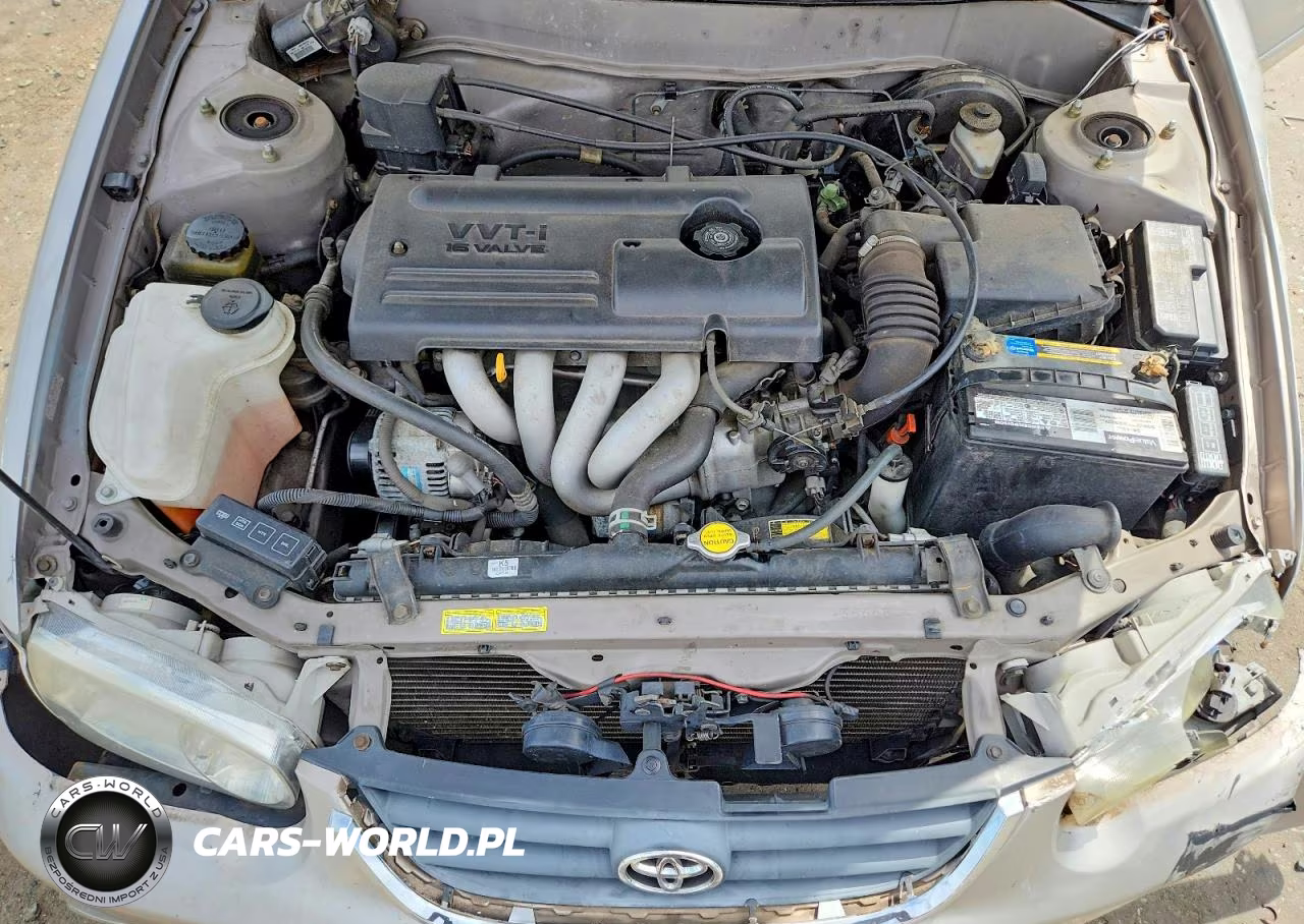 2002 Toyota Corolla Le VIN:1NXBR12E92Z590137 - 11